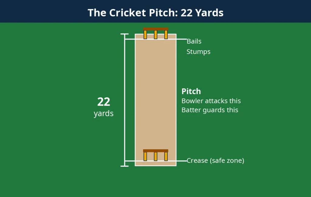 Diagram of a cricket pitch showing the 22-yard strip with stumps and bails at both ends